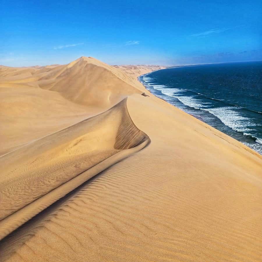 Walvis Bay: Sandwich Harbour Half-Day 4x4 Scenic Excursion - Guides make the difference