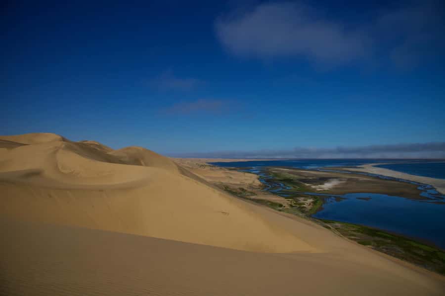 Walvis Bay: Sandwich Harbour Half-Day 4x4 Scenic Excursion - Starting at the Walvis Bay Lagoon