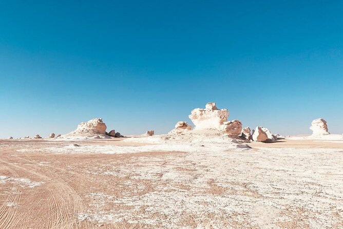 White & Black Desert tour 2 Days 1 night camping from Cairo. - The guides can shape the whole experience