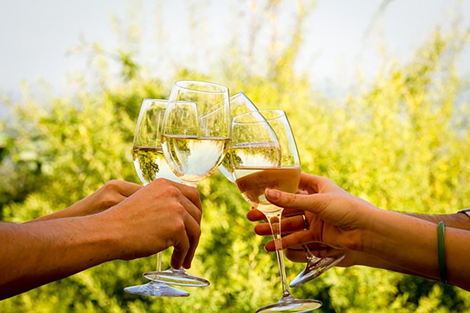 Wine Tour: Paarl, Franschhoek & Stellenbosch incl 3 wineries - The luxury coach makes a long day easier