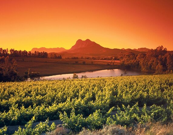 Wine Tour: Paarl, Franschhoek & Stellenbosch incl 3 wineries - Stellenbosch town adds culture between tastings
