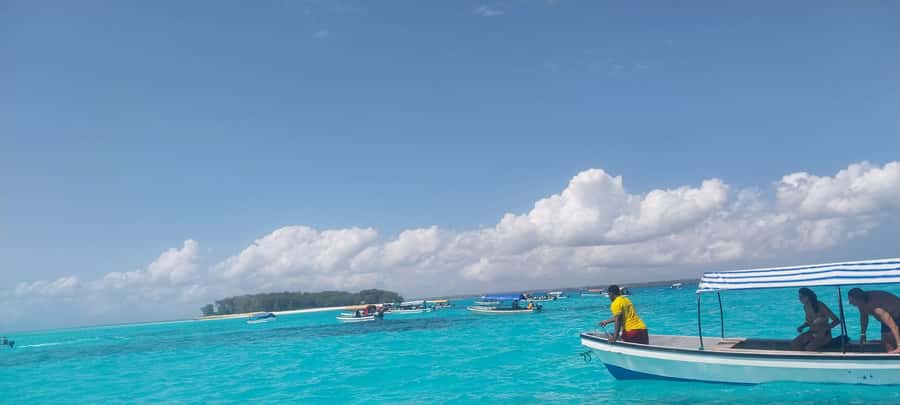 Zanzibar: Mnemba Island Dolphin and Snorkeling Tour - Guides, boats, and language support