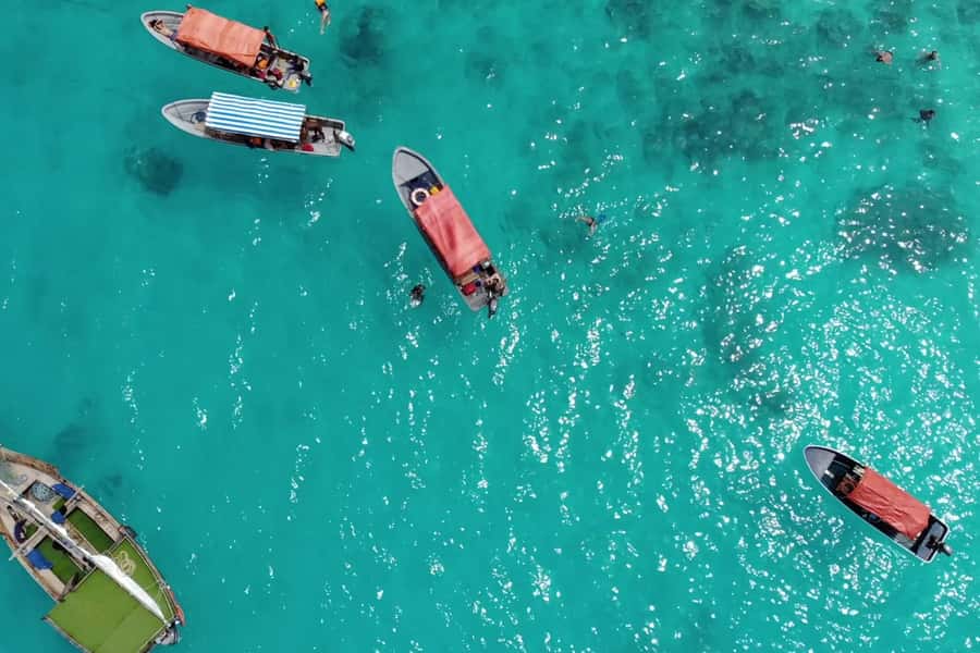 Zanzibar: Mnemba Island Dolphin and Snorkeling Tour - Dolphin watching, with an important ethical caveat