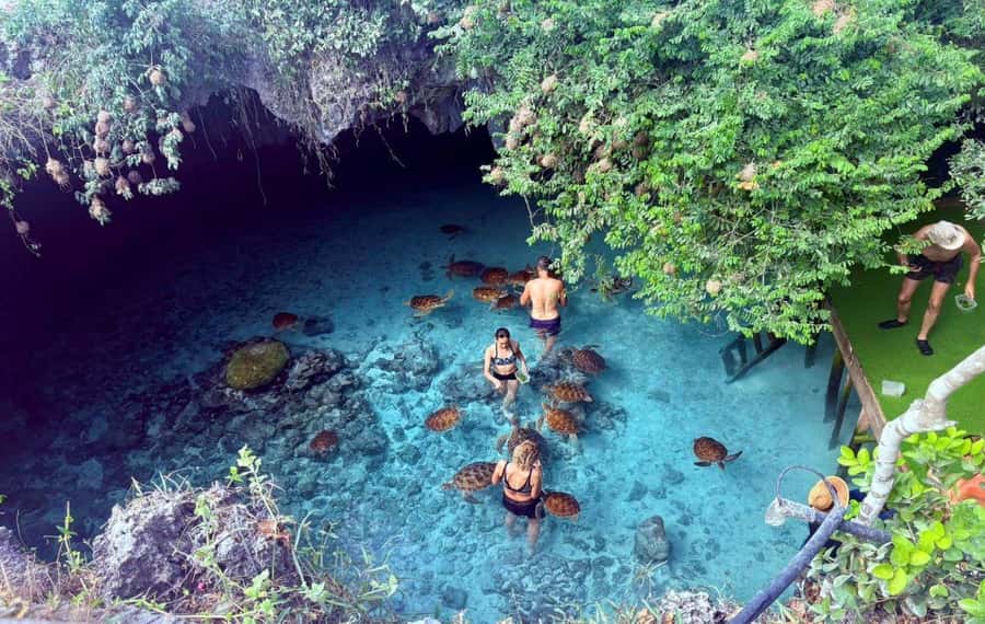 Zanzibar: Mnemba Island, Prison Island and Salaam Cave Tour - One long day that covers Zanzibar’s big hits