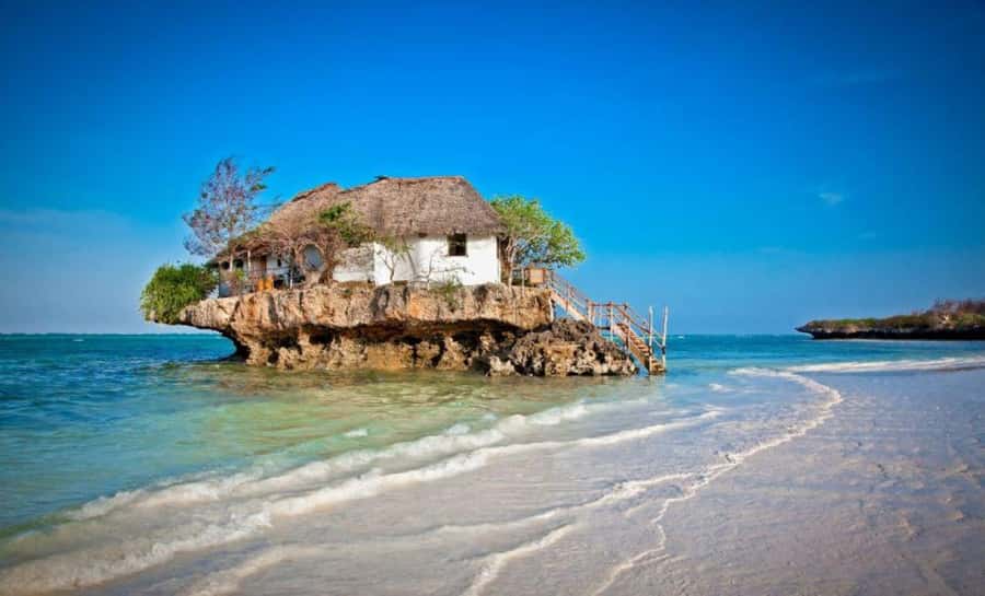 Zanzibar: Mnemba Island, Prison Island and Salaam Cave Tour - Guides, drivers, and the private-tour advantage
