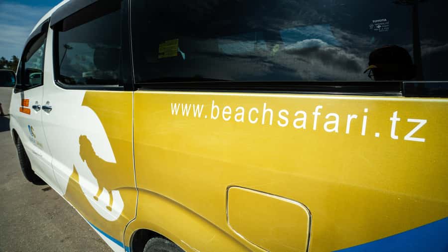 Zanzibar: Nungwi Turtle Aquarium Guided Half-Day Trip - What the conservation work adds