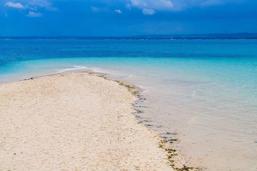 Zanzibar; Prison Island, Nakupenda, StoneTown Tour with BBQ - One busy day with three very different Zanzibar experiences