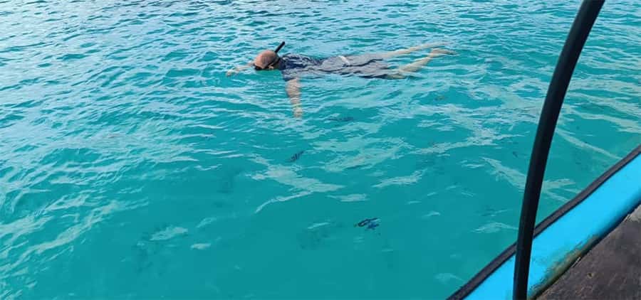 Zanzibar; Prison Island, Nakupenda, StoneTown Tour with BBQ - How good is the snorkeling?