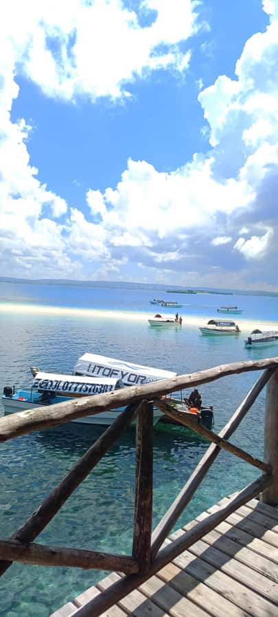 Zanzibar; Prison Island, Nakupenda, StoneTown Tour with BBQ - Boats, transfers, and the pace of the day