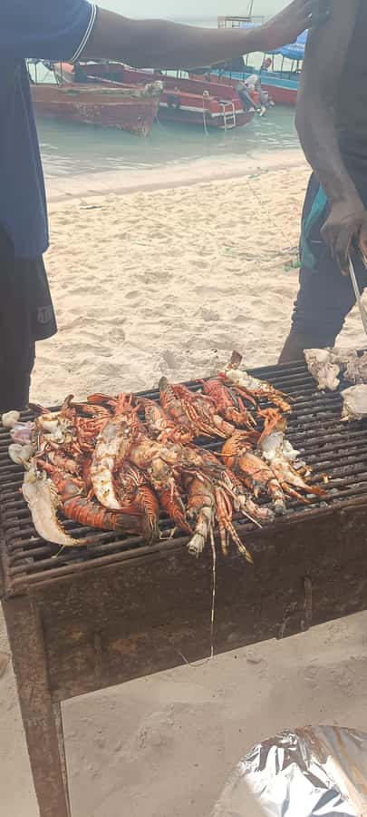 Zanzibar; Prison Island, Nakupenda, StoneTown Tour with BBQ - Who should book this excursion?