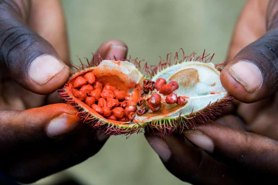 Zanzibar: Stone Town, Spice Tour, Prison Island with Lunch - FAQ
