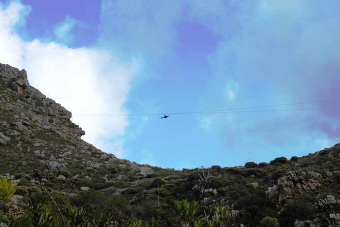Zipline Cape Town - From Foot of Table Mountain Reserve - Seven cables beneath Table Mountain